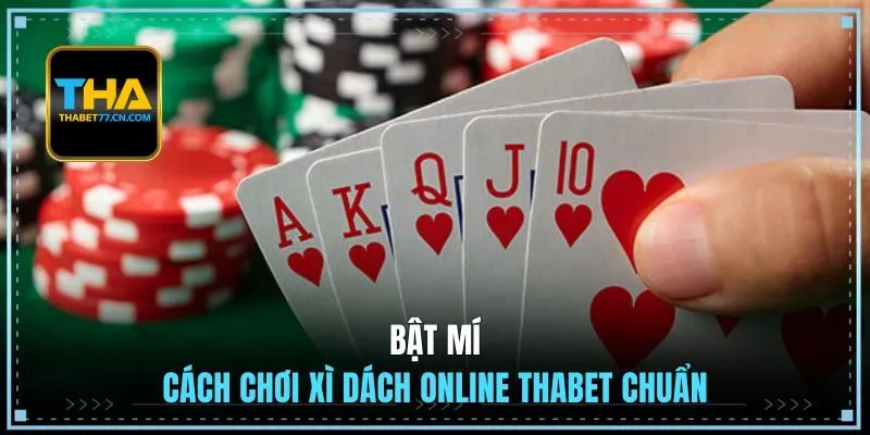Bật mí cách chơi Xì Dách online THABET chuẩn