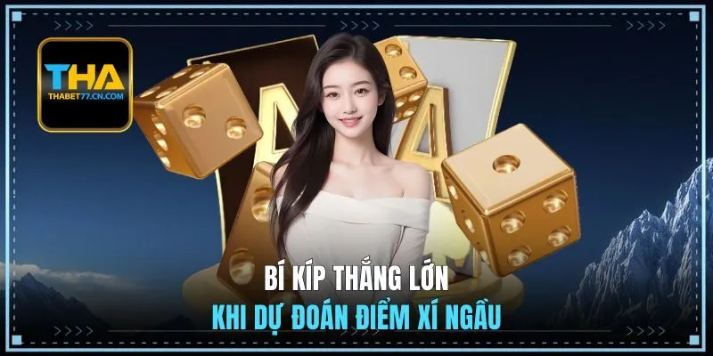 Bí kíp thắng lớn khi dự đoán điểm xí ngầu