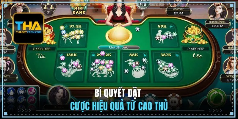 Bí quyết đặt cược hiệu quả từ cao thủ