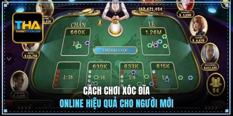 Cách chơi xóc đĩa online hiệu quả cho người mới