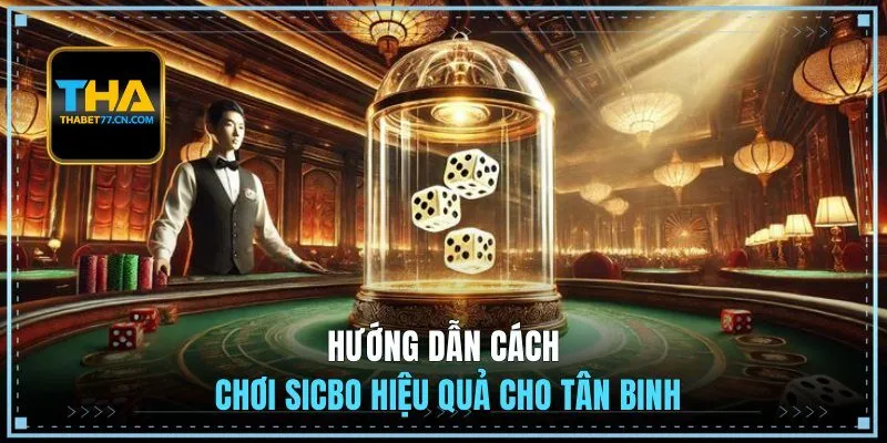 Hướng dẫn cách chơi sicbo hiệu quả cho tân binh
