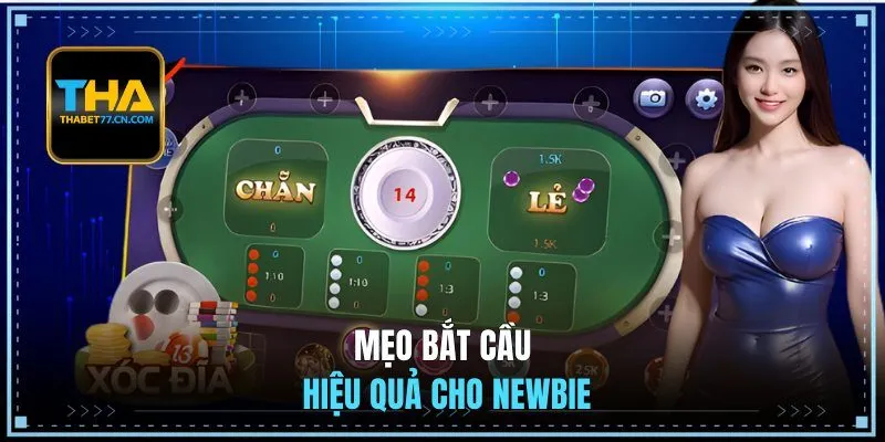 Mẹo bắt cầu hiệu quả cho newbie