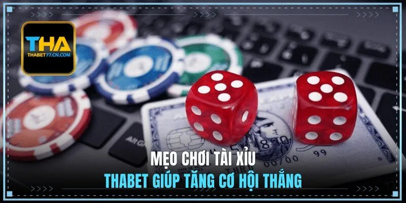 Mẹo chơi tài xỉu THABET giúp tăng cơ hội thắng