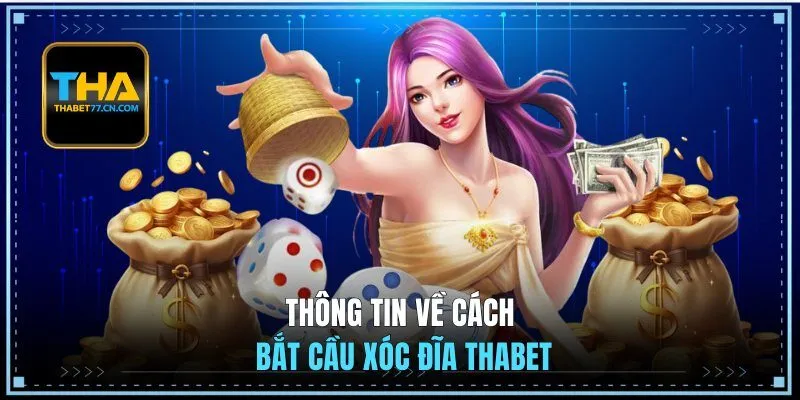 Thông tin về cách bắt cầu xóc đĩa THABET